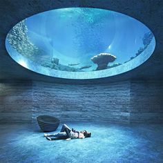 a person laying on the ground in front of an aquarium