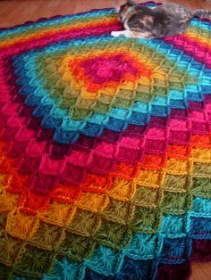 a cat laying on top of a multi colored crocheted blanket in the shape of a rainbow