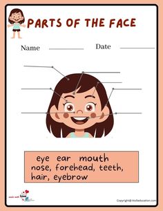 Parts Of Face Worksheets | FREE Download Facial Expressions Worksheet, Face Value Worksheet, Face Parts Worksheet, Parts Of A Book Worksheet, Negative Numbers Worksheet, Rhyming Words Worksheets, Negative Numbers, Fish Coloring Page, Worksheet For Kids