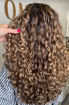 Curly Long Hair With Highlights, Hair Colour On Curly Hair, Summer Hair Color For Brunettes Curly, Natural Curls With Highlights, Hair Color Idea For Curly Hair, Long Curly Highlighted Hair, Gold Highlights Curly Hair, Golden Brown Highlights Curly Hair, Curl Hair Highlights