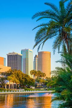 the city skyline with palm trees and water in front of it stock photo