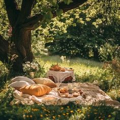 an outdoor picnic with bread and fruit on the ground in front of a large tree