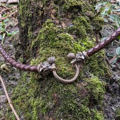 a brown leather cord with two silver rings on it and moss growing around the tree trunk