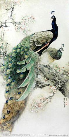 two peacocks are sitting on a tree branch with flowers in the background and one is standing