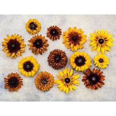 yellow and brown flowers are arranged on a white surface