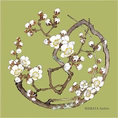 an image of a tree with white flowers in the center on a green background that says shebata geshiin