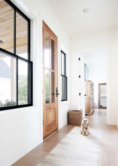 a dog sitting on the floor in front of an open door with windows and baskets