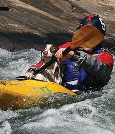 a man and his dog are kayaking in the water