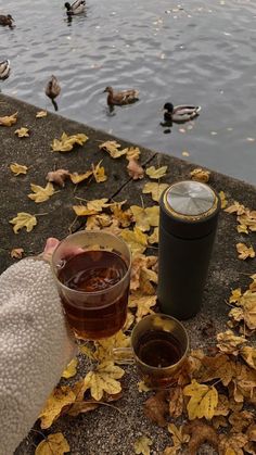 a cup of tea sitting next to a body of water with ducks in the background