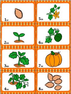 an orange and white checkered table cloth with pictures of plants