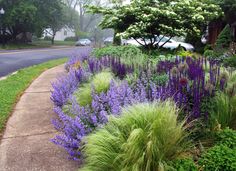 purple and green plants line the side of a sidewalk