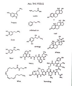 an image of the chemical formulas for different types of liquids and their names in black ink