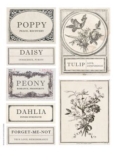 four different labels with flowers on them and the words poppy, daisy, peony, dahl