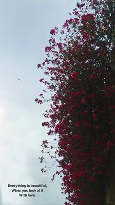 red flowers growing on the side of a building with a quote about everything is beautiful