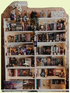 a bookshelf filled with lots of books next to a flower pot and vase