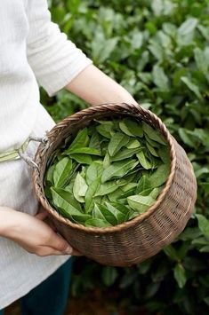 a woman holding a basket full of green leaves