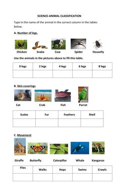 an animal worksheet with pictures and words to help students understand what animals are in the