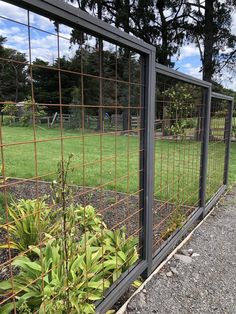 the fence is made of metal wire and has plants growing in it on both sides