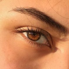 Bentuk Alis, Beautiful Eyes Color, 얼굴 드로잉, Photos Of Eyes, Brown Eye, Remove Dark Circles