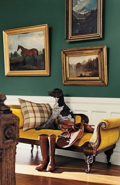 a dog sitting on top of a yellow couch in front of some pictures and paintings