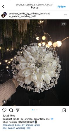 a person holding a white flower in their hand with lights on the wall behind them