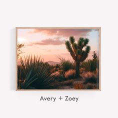 an image of a desert scene with the words avery + zooy above it