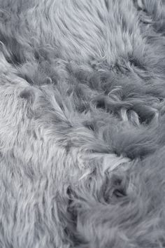 the fur is very soft and grey in color