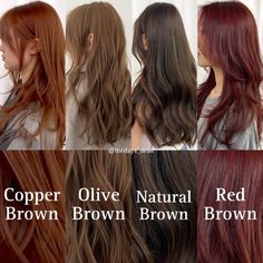 No Bleach Dark Hair Color, Light Brown No Bleach, Light Hair Color Without Bleach, Hair Color Ideas For Brunettes Without Bleach, Hair Colors That Dont Require Bleaching, No Bleaching Hair Color, No Dye Hair Color, Hair Colour Ideas Without Bleaching, Non Bleached Hair Colour