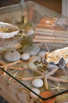 a glass table topped with shells and seashells