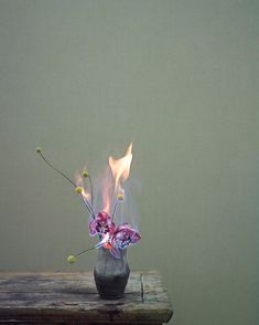 a vase filled with flowers on top of a wooden table