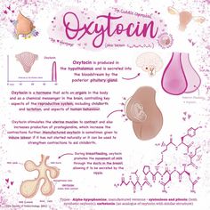 an information poster describing the different types of oxygen in the body and how it works