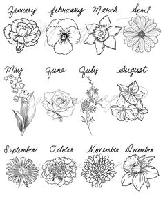 flowers are shown with the names of each flower