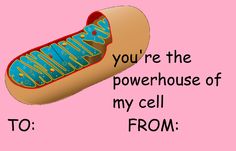 a hot dog with ketchup and mustard on it's wrapper that says, you're the powerhouse of my cell from