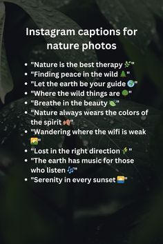 the instagram captions for nature photos