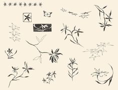 an image of various flowers and plants drawn in ink