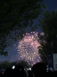 fireworks are lit up in the night sky above trees and people looking at them from their cell phones