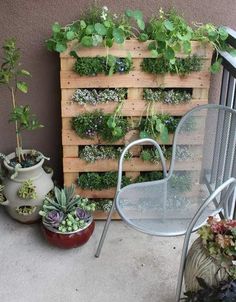 a wooden pallet filled with lots of green plants next to a chair and potted planter