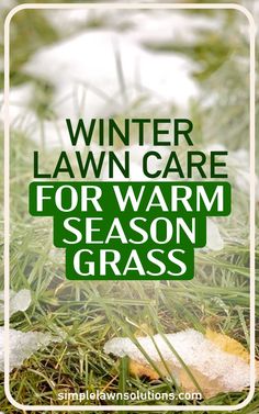 the words winter lawn care for warm season grass in green and white with snow on it