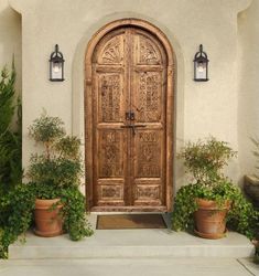 an ornate wooden door is flanked by potted plants