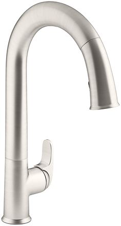 the kitchen faucet is shown in stainless steel