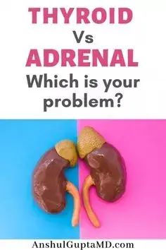 Know what is Adrenal gland and why is it important. Symptoms of Adrenal dysfunction and the difference between Thyroid dysfunction and adrenal dysfunction. In the end, know what are the therapies that help with these problems. Adrenal Dysfunction, Adrenal Gland, Thyroid Healing