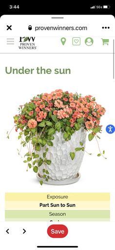 a flower pot with flowers in it and the words under the sun