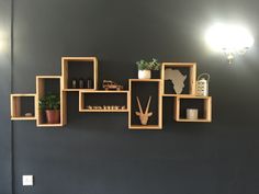 several wooden shelves on the wall with plants and other things in them that are arranged neatly