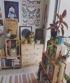 a living room filled with lots of books and plants