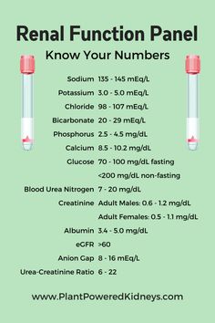 Kidney Function Test, Renal Diet Recipes, Kidney Recipes, Kidney Friendly Foods, Healthy Kidneys