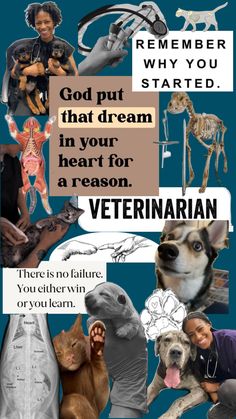 a collage of pictures with dogs, cats and other animal related items in them