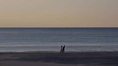 two people are flying a kite on the beach at sunset or sunrise, while another person is walking in the distance