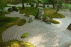 a garden with rocks and moss growing on the ground