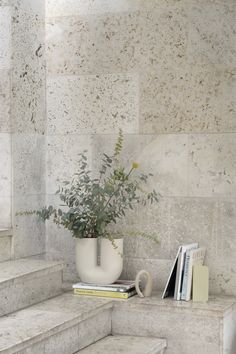 a plant in a white vase sitting on top of some steps next to a book shelf