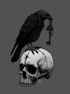 a black crow sitting on top of a skull with a key in its mouth and the word n d k above it